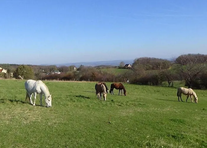 شقة Mit Terrasse Im Sanierten Fachwerkhof By Interhome *